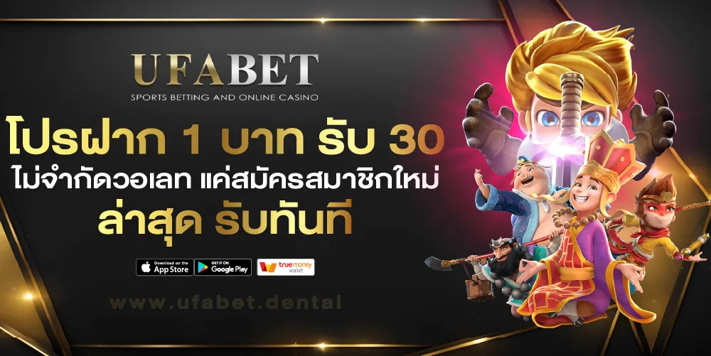 ฝาก 1 บาท รับ 30 ล่าสุด 2567